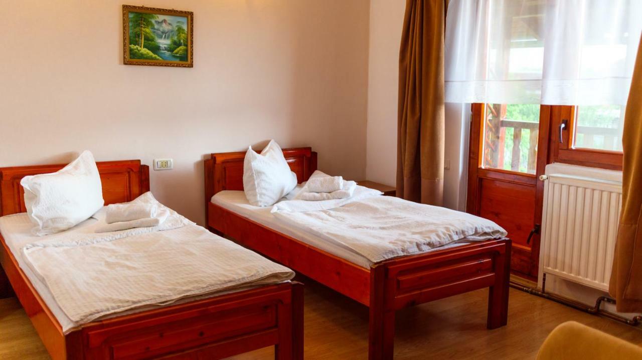 Pension Ladyna Ξενοδοχείο Sebiş Εξωτερικό φωτογραφία