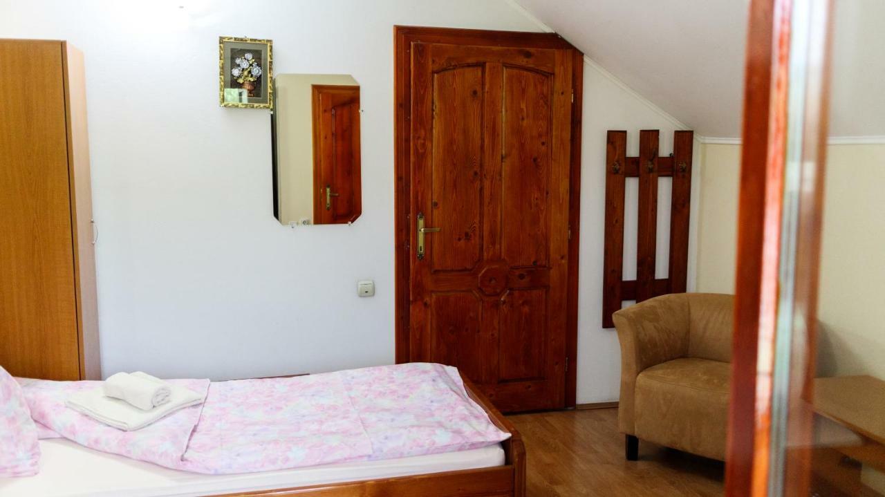 Pension Ladyna Ξενοδοχείο Sebiş Εξωτερικό φωτογραφία